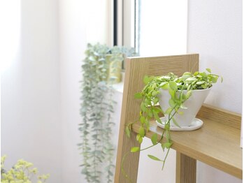 ラサンテ(Le Sante)/*こだわりの店内*