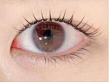 セレビアイ 銀座店/まつ毛パーマ【Cカール】