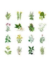 ヨサパーク ハーブCOCO和 北名古屋店(YOSA PARK)/痩身ハーブ