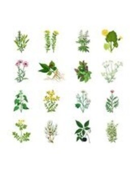 ヨサパーク ハーブCOCO和 北名古屋店(YOSA PARK)/痩身ハーブ