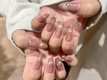 プロテア(protea)の写真