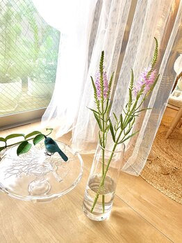 リアン ラッシュリフト(Lien LASHLIFT)/幸せの青い鳥♪