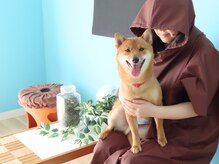 エイト(Eight)の雰囲気(ペット同伴可能な仙台市青葉区のよもぎ蒸しモリンガ蒸し)