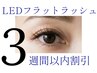 【LEDフラットラッシュ】3週間以内割引☆付ける本数をメニューから選んで予約