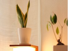 頭と体の休息庵 いろは/