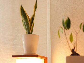 頭と体の休息庵 いろは/