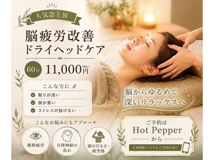 オリーブ(OLIVE)の写真