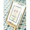 ミシェルマスデイジー(Michaelmas Daisy)のお店ロゴ