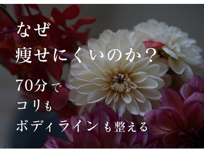 ルーエ(Ruhe)の写真