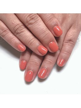 ネイルサロン マハロ 横浜四季の森フォレオ店(Nail Salon Mahalo)/ワンカラー