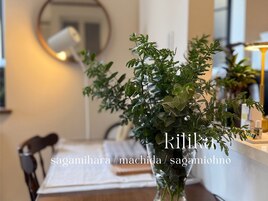 観葉植物/レジ横