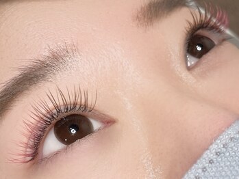 ラッキーユー 新小岩店(Lucky U)/