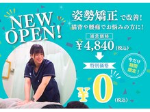 南砂かなで鍼灸 接骨院 南砂町スナモ店