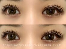 ニコ(Niko)/濃さ&束感には