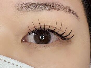 ルピナス 川口(Lupinus)/フラットラッシュ140本