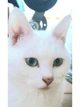 おおきな手&nbsp;いしつか 