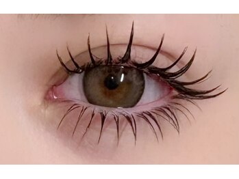 アンユー(an.u)/まつげエクステ/上下