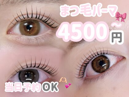 ロア(loa)の写真