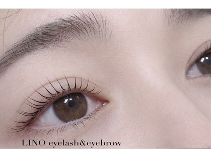 リノ(LINO)の写真