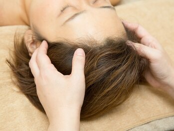 ヴィパーチ(ViPerch)/施術6