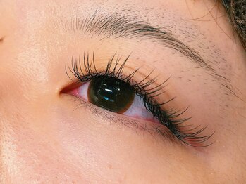 アイラッシュマルヴァ(Eye Lash Malva)/シングルラッシュ