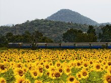 アジアンリラクゼーション ヴィラ 大橋店(asian relaxation villa)/タイ；ひまわり列車
