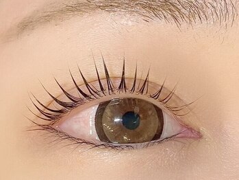 ニューラインアイプラス(New Line eye+)の写真/話題のパリジェンヌラッシュリフト★パッチリeyeで目力UP！自まつ毛が伸びたような自然で上品な目元に◎