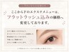 ↓ここから下は《フラットラッシュ込み》の価格へ変更しております。