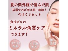 ヒロイントータル(HIRO-IN Tatal)