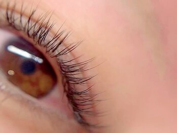 クレポワール(Clapoir)の写真/《ボリュームラッシュ・フラット/シングルラッシュメニュー充実◎》最高級毛質で軽さとダメージ軽減が実現!