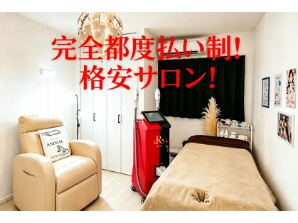 アニマル(ANIMAL)の写真