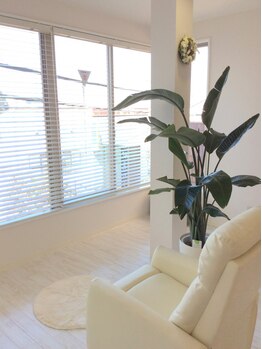 シェリアン 下赤塚店(Chelien)/解放感◎清潔感◎の店内★