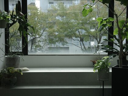 IRONBOY【まつげパーマ・眉毛・マツエク・フェイシャル】の写真