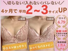 バストサロン メルベイユ(Merveile)