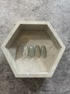 季節定額【6～8月限定デザイン】