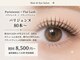 ネオリーブサイン(Neolive sign)の写真