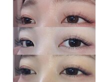 テディプラス(Teddy+)/3Dボリュームラッシュ