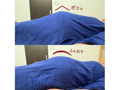 フォリオラ(Folivora)の写真