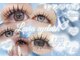 ラヴィア(Lavia)の写真
