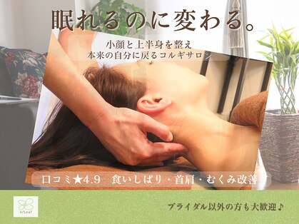 フォーリーフ(4 Leaf)の写真