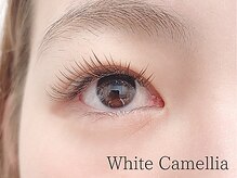 ホワイトカメリア(White Camellia)