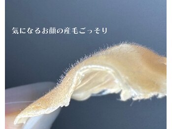 ヴィータ(VITA)/フェイシャルWAX