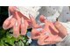 ココ ネイル サロン アンドスクール(COCO.NAIL SALON＆SCHOOL)の写真