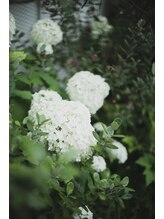 アイラッシュ メル(MEL)&nbsp;Eyelash &nbsp;MEL