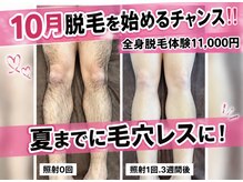 ルナステラ 七尾店