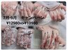 1大人気【チップ長さだし10本】デザインやり+パーツつけ放題¥12980→10980