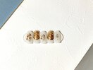 定額アートコース