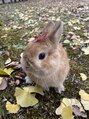 リシェル 三島(Richelle) うさぎ飼ってます*