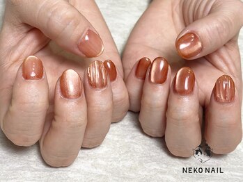 ネコ ネイル(NEKO NAIL)/マグネットネイル