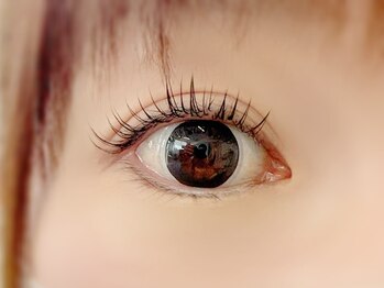 ベラ(bella)/フラットラッシュ１１０本